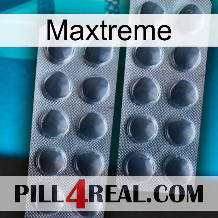 Maxtreme 31